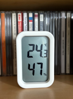 夏を求めて！？