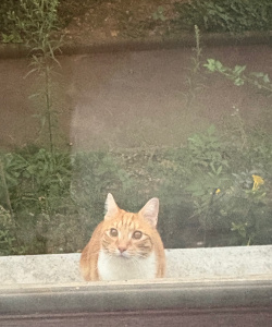 こんちわ〜！