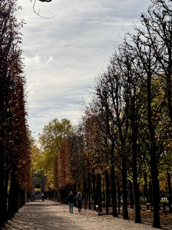 テュイルリー公園 テュイルリー公園