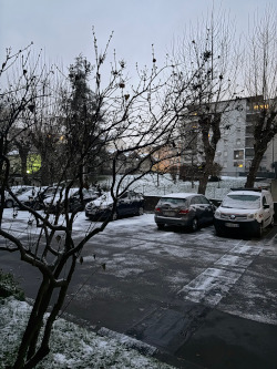 ちょっとだけ積もったけど... ちょっとだけ積もったけど...