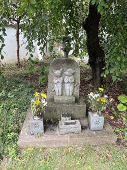 約一年振りに